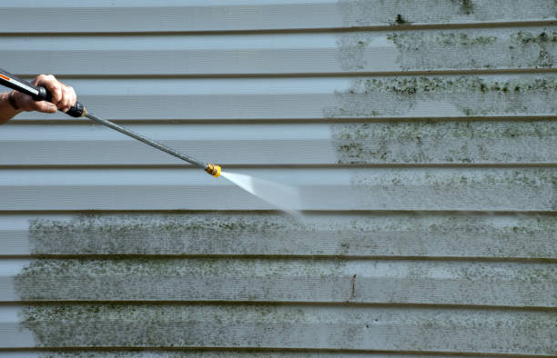 Best Residential Pressure Washing Services  in Moriarty, NM