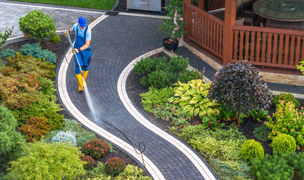 Best Roof Pressure Washing  in Moriarty, NM